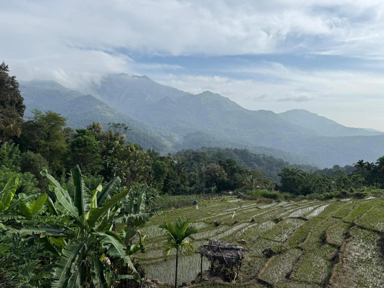 Kingdom Of Rustic Ella Villa Rum bild