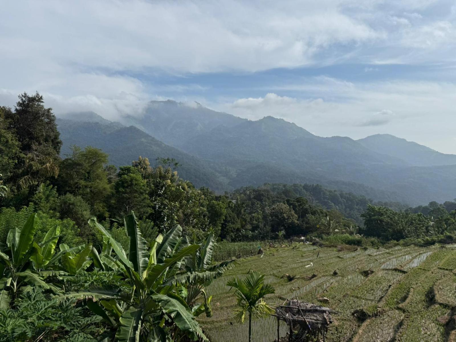Kingdom Of Rustic Ella Villa Rum bild