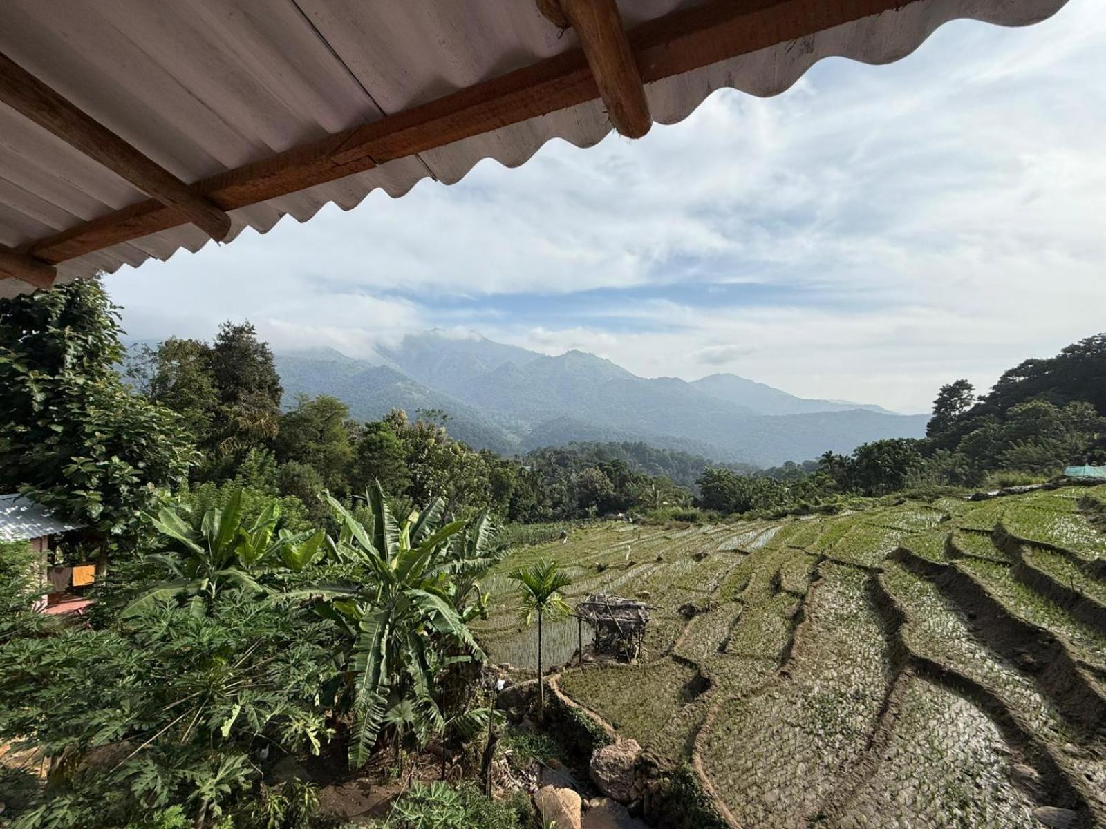 Kingdom Of Rustic Ella Villa Rum bild