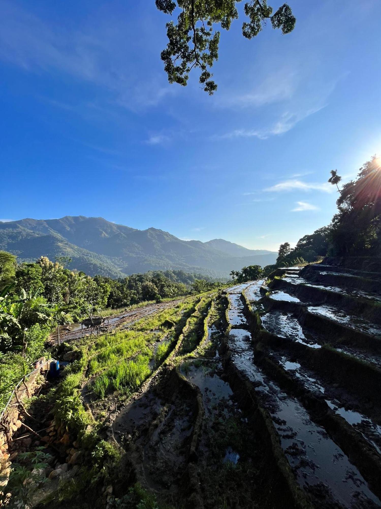 Kingdom Of Rustic Ella Villa Rum bild