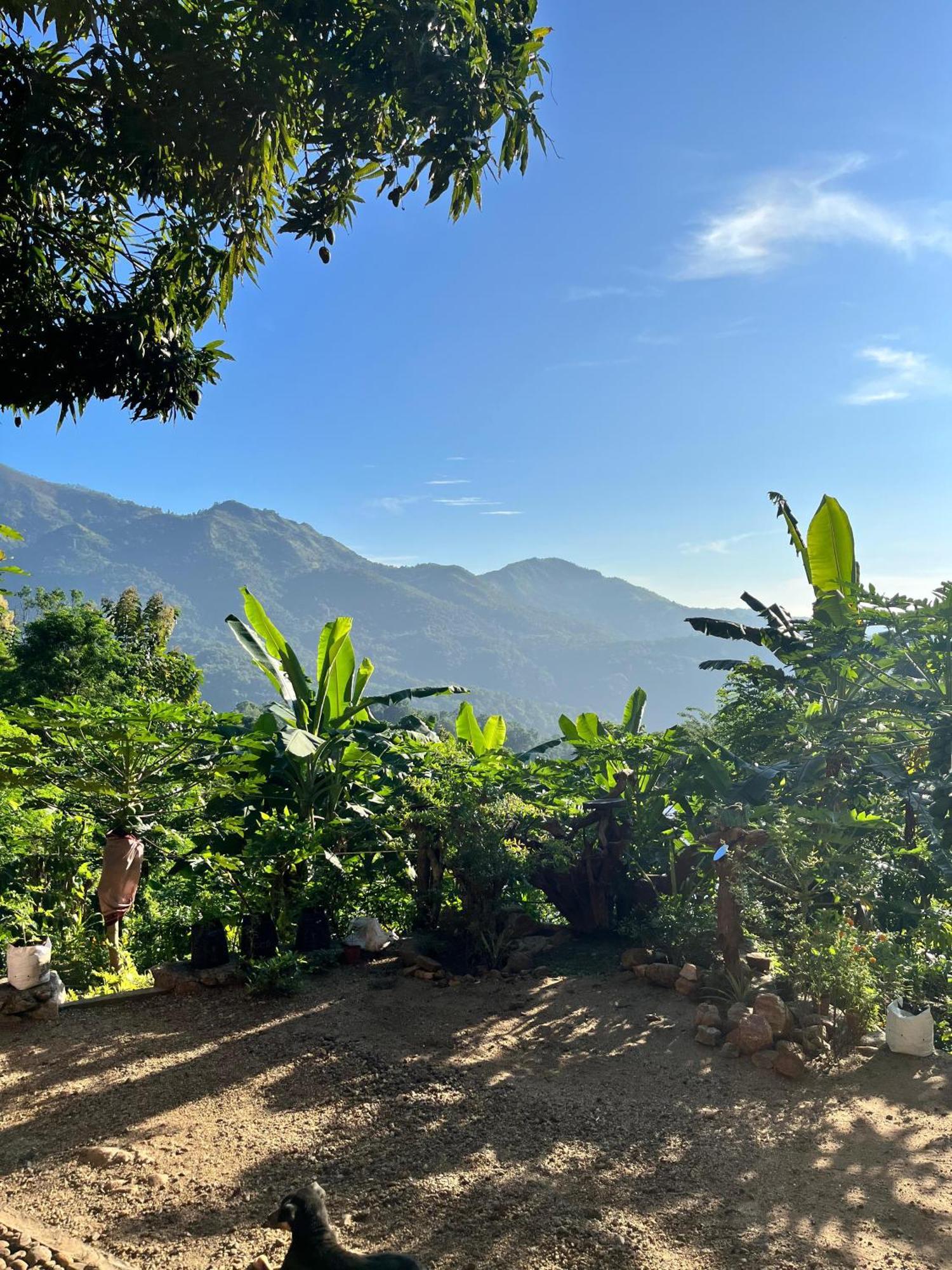 Kingdom Of Rustic Ella Villa Rum bild